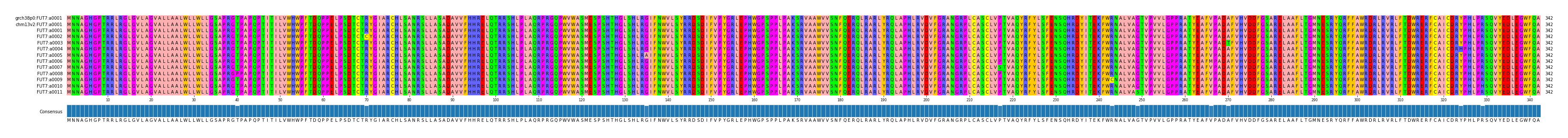 Multiple Alignments (by translate haplotype frequency)