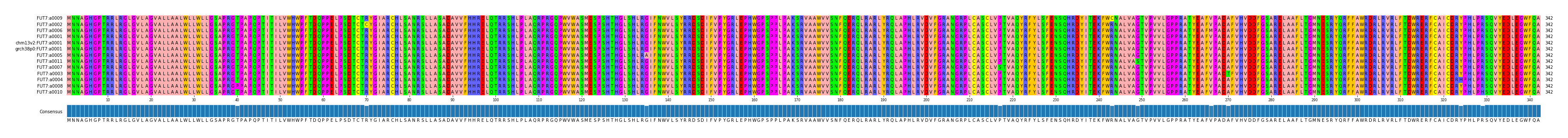 Multiple Alignments (by translate haplotype similarity)