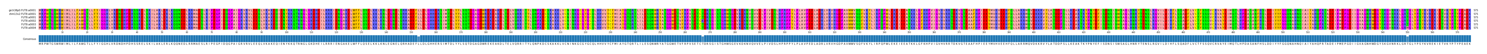 Multiple Alignments (by translate haplotype frequency)