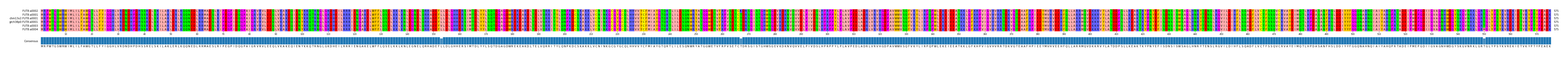 Multiple Alignments (by translate haplotype similarity)