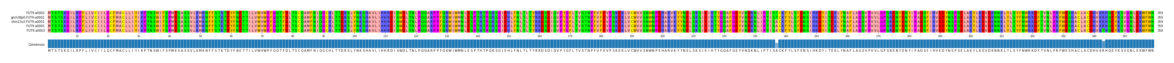 Multiple Alignments (by translate haplotype similarity)