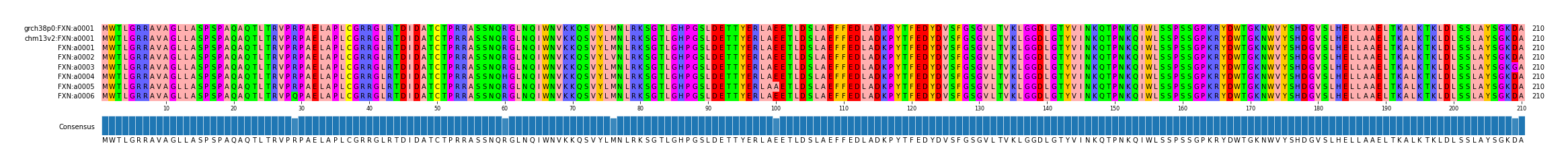Multiple Alignments (by translate haplotype frequency)