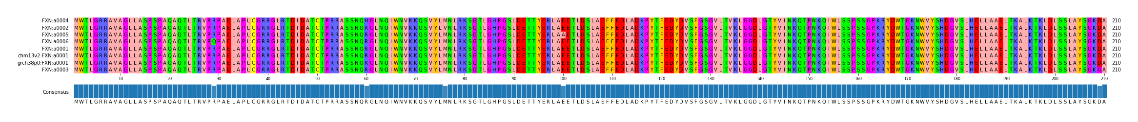 Multiple Alignments (by translate haplotype similarity)