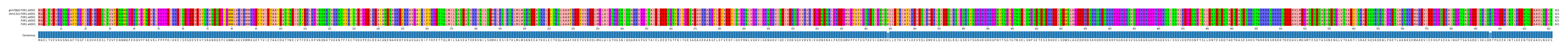 Multiple Alignments (by translate haplotype frequency)