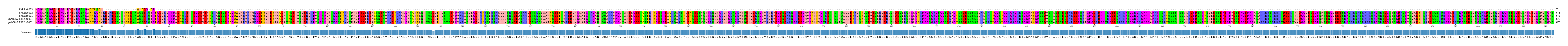 Multiple Alignments (by translate haplotype similarity)