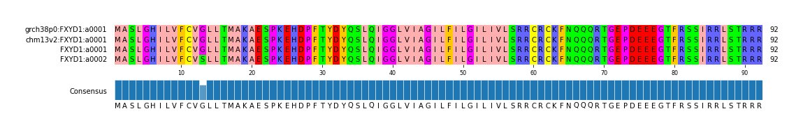 Multiple Alignments (by translate haplotype similarity)