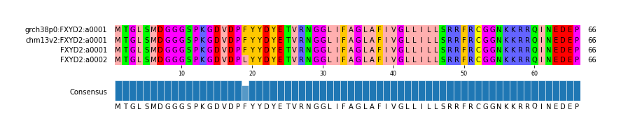 Multiple Alignments (by translate haplotype similarity)