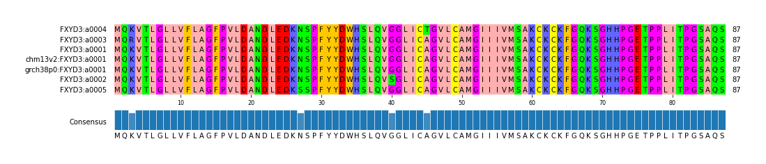 Multiple Alignments (by translate haplotype similarity)