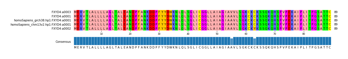 Multiple Alignments (by translate haplotype similarity)