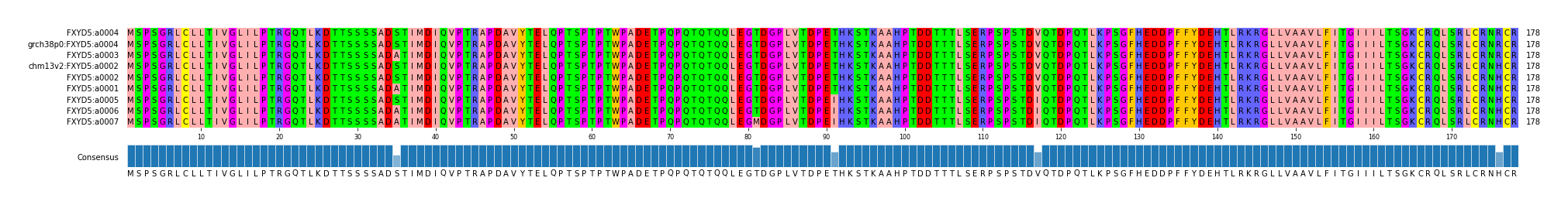 Multiple Alignments (by translate haplotype similarity)