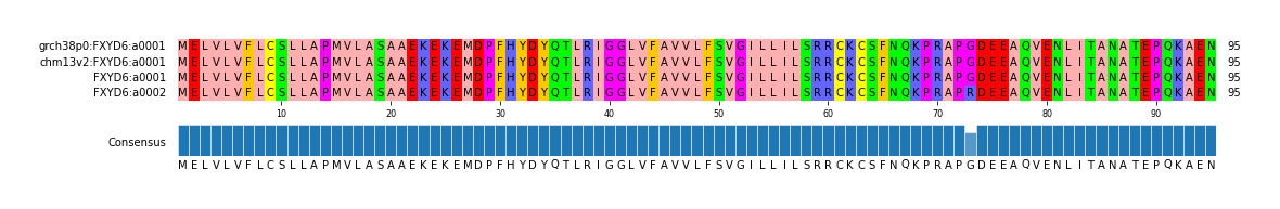 Multiple Alignments (by translate haplotype similarity)