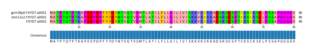 Multiple Alignments (by translate haplotype frequency)