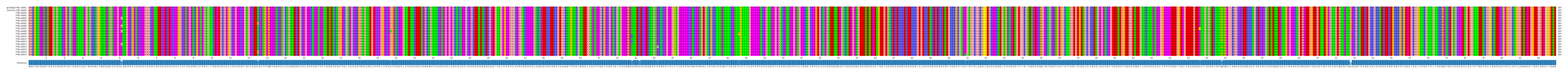 Multiple Alignments (by translate haplotype frequency)