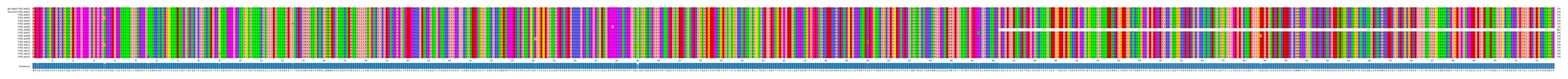 Multiple Alignments (by translate haplotype frequency)