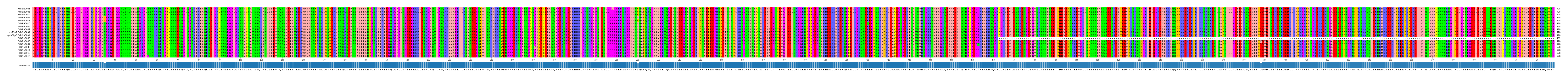 Multiple Alignments (by translate haplotype similarity)