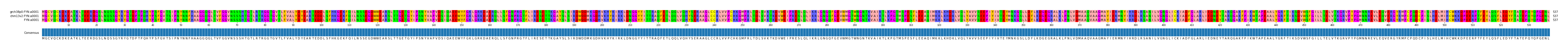 Multiple Alignments (by translate haplotype similarity)