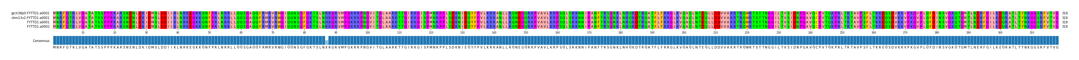 Multiple Alignments (by translate haplotype frequency)