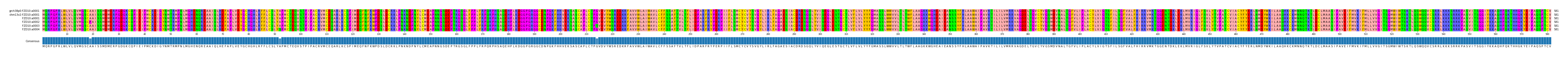 Multiple Alignments (by translate haplotype frequency)