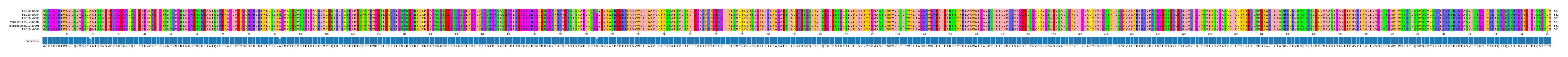 Multiple Alignments (by translate haplotype similarity)
