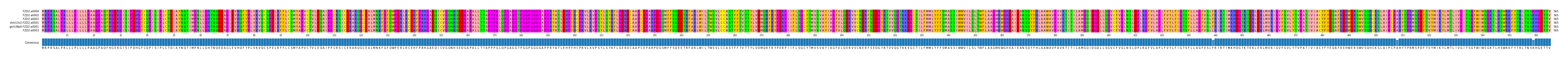 Multiple Alignments (by translate haplotype similarity)