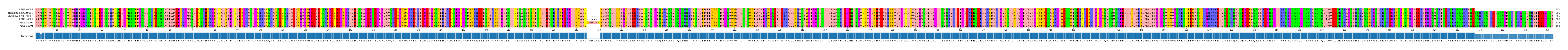 Multiple Alignments (by translate haplotype similarity)