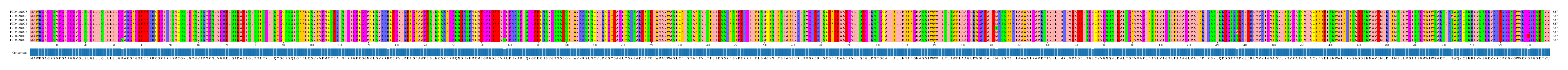 Multiple Alignments (by translate haplotype similarity)