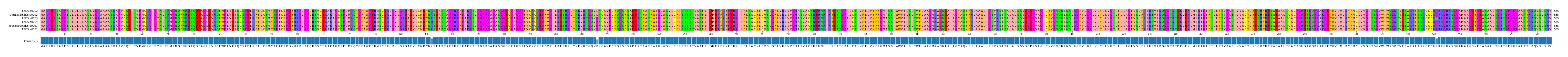 Multiple Alignments (by translate haplotype similarity)