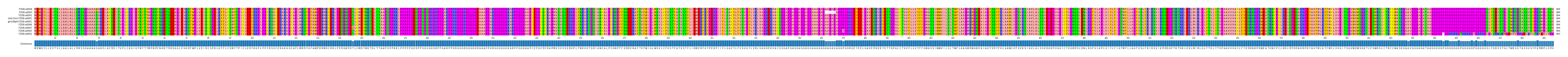 Multiple Alignments (by translate haplotype similarity)