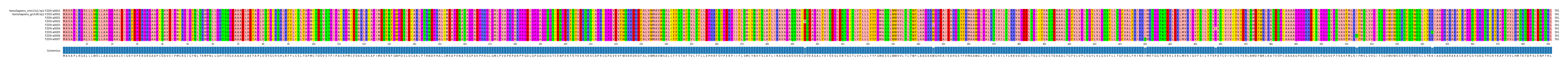 Multiple Alignments (by translate haplotype frequency)