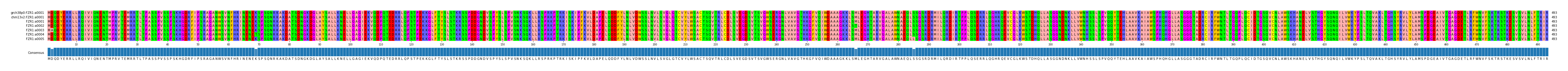 Multiple Alignments (by translate haplotype frequency)