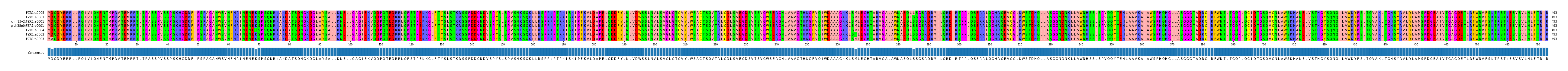 Multiple Alignments (by translate haplotype similarity)