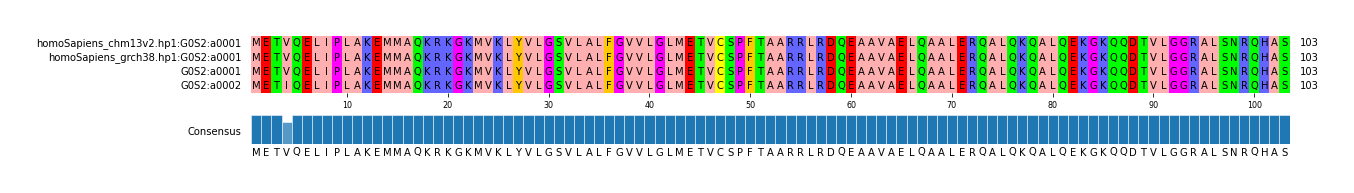 Multiple Alignments (by translate haplotype frequency)
