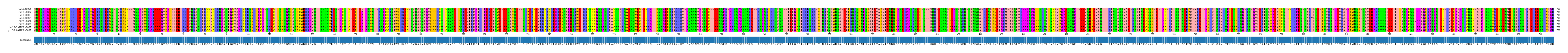 Multiple Alignments (by translate haplotype similarity)