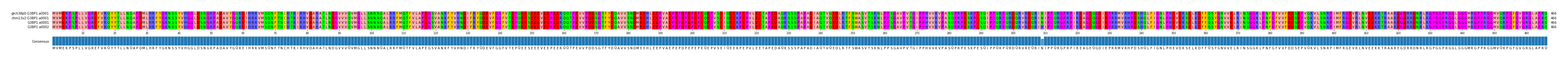 Multiple Alignments (by translate haplotype frequency)