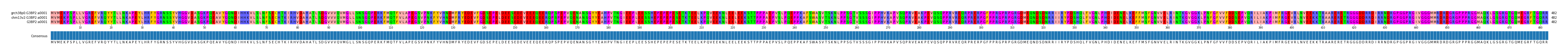 Multiple Alignments (by translate haplotype frequency)