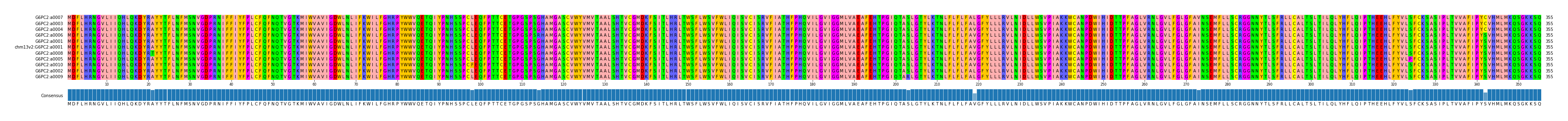 Multiple Alignments (by translate haplotype similarity)