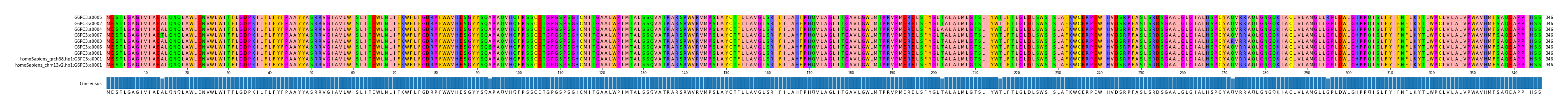 Multiple Alignments (by translate haplotype similarity)