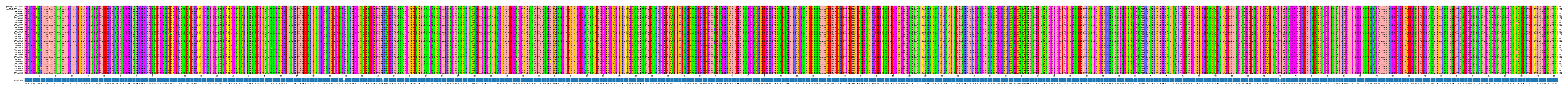 Multiple Alignments (by translate haplotype frequency)