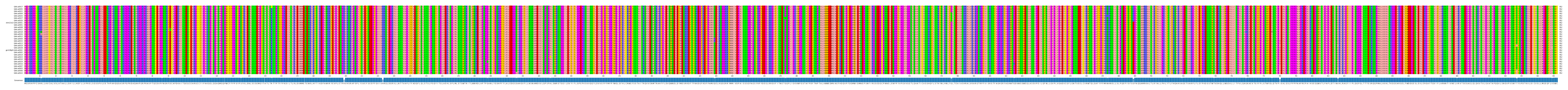 Multiple Alignments (by translate haplotype similarity)