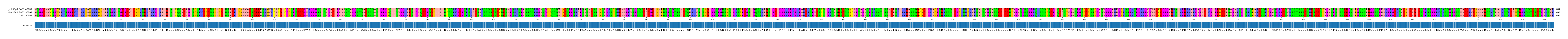 Multiple Alignments (by translate haplotype similarity)
