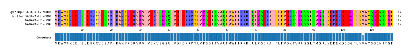 Multiple Alignments (by translate haplotype similarity)