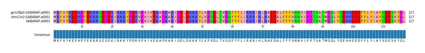 Multiple Alignments (by translate haplotype similarity)