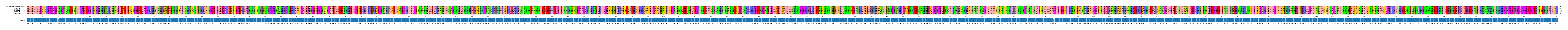 Multiple Alignments (by translate haplotype frequency)