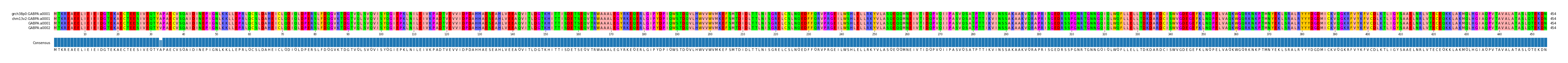 Multiple Alignments (by translate haplotype similarity)