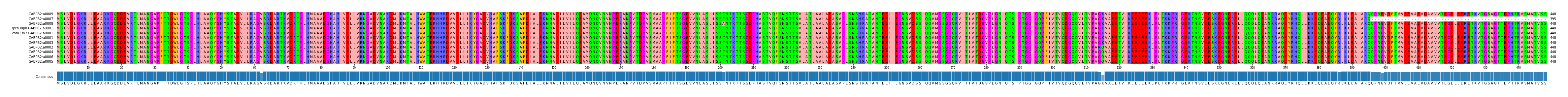 Multiple Alignments (by translate haplotype similarity)