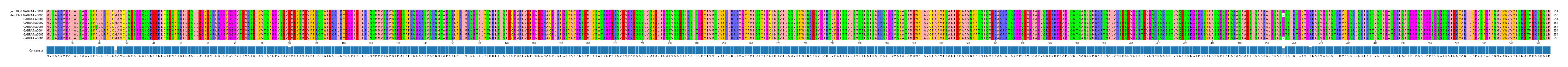 Multiple Alignments (by translate haplotype frequency)