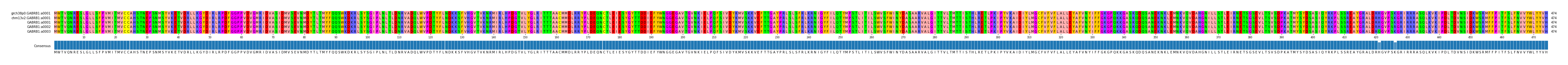 Multiple Alignments (by translate haplotype frequency)