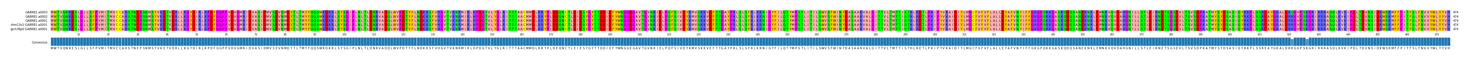 Multiple Alignments (by translate haplotype similarity)