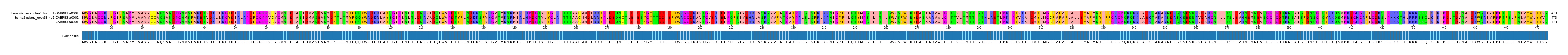 Multiple Alignments (by translate haplotype similarity)