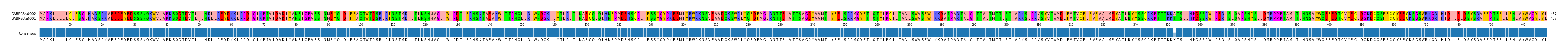 Multiple Alignments (by translate haplotype similarity)